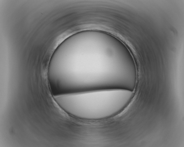X0000115551529200911061116