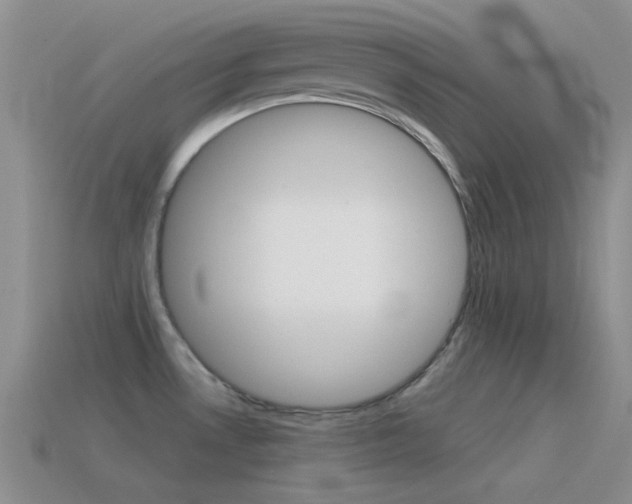 X0000115551530200911061116