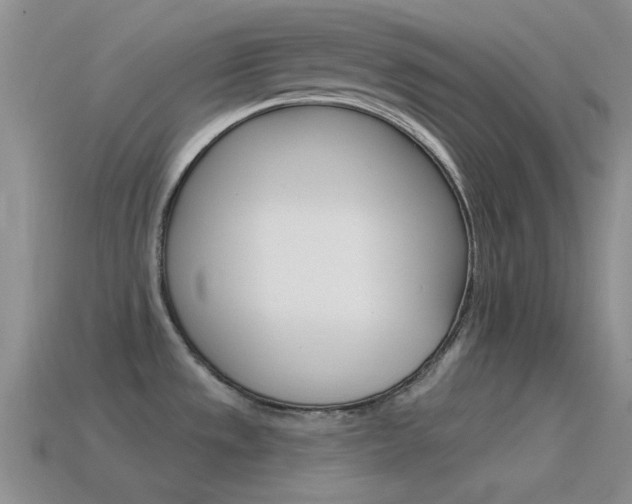X0000115551533200911061116