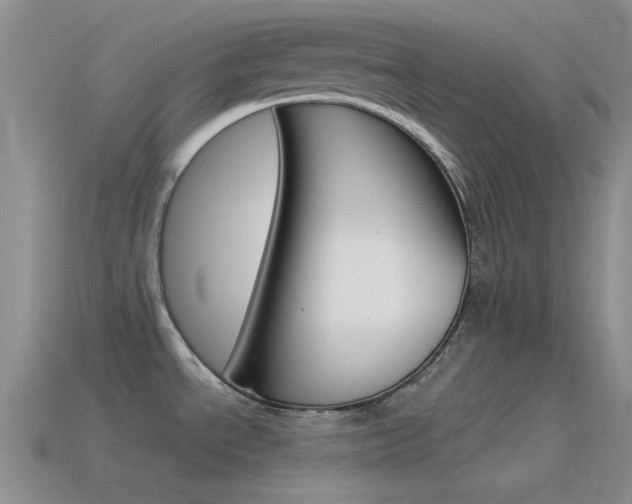 X0000115551534200911061116