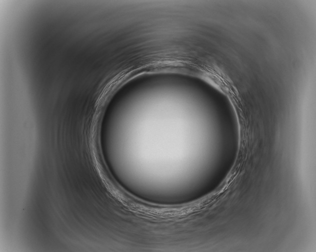 X0000115550001200911061542
