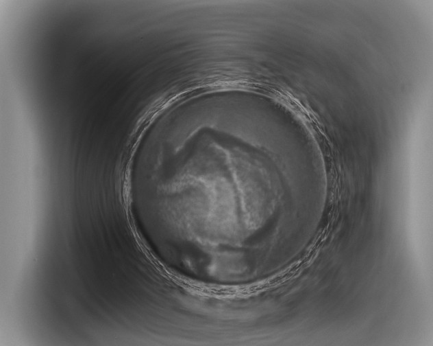 X0000115550002200911061542