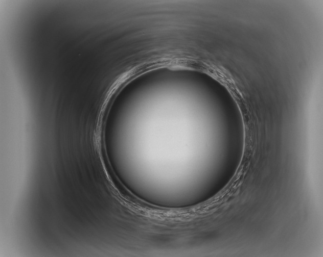 X0000115550003200911061542