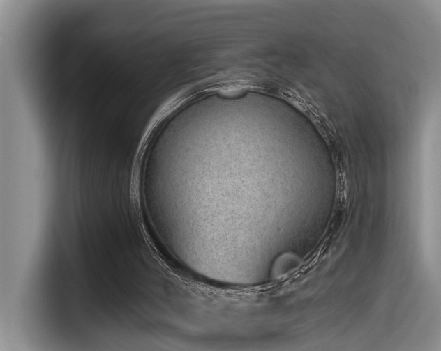 X0000115550004200911061542