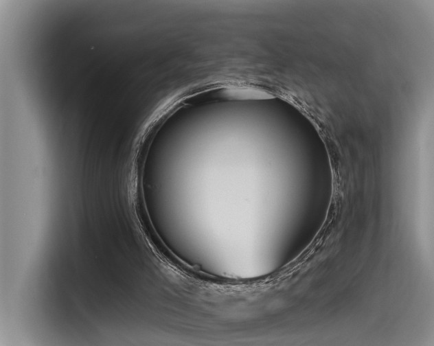 X0000115550005200911061542