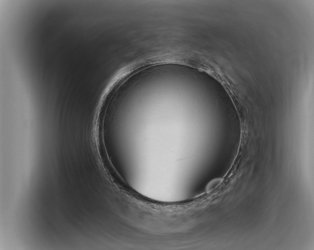 X0000115550006200911061542