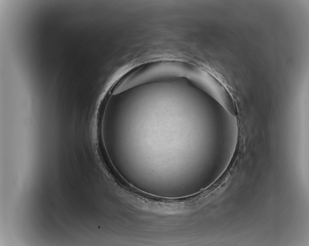 X0000115550008200911061542
