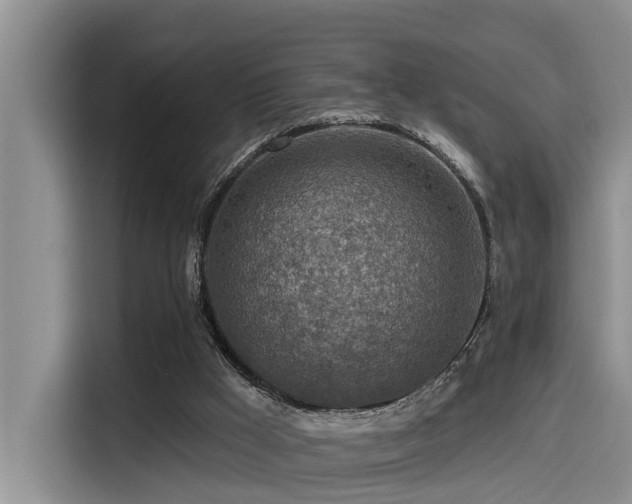 X0000115550009200911061542