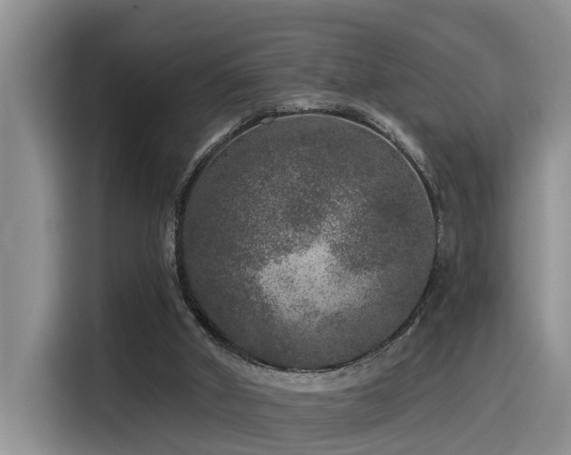 X0000115550010200911061542