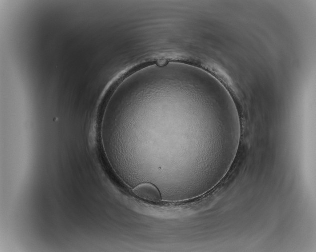 X0000115550012200911061542