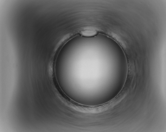 X0000115550015200911061542