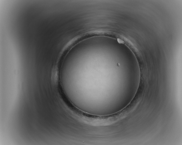 X0000115550016200911061542