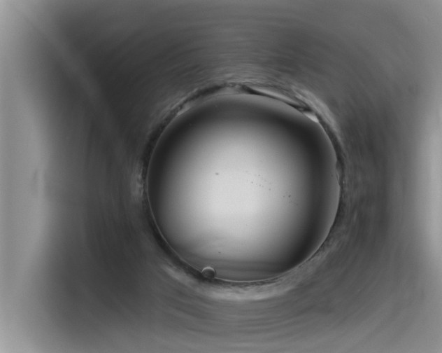 X0000115550017200911061542
