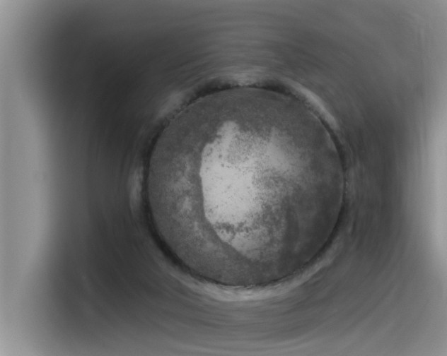 X0000115550018200911061542
