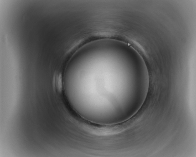 X0000115550020200911061542