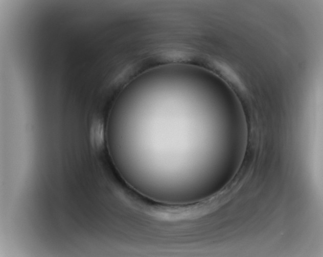 X0000115550021200911061542
