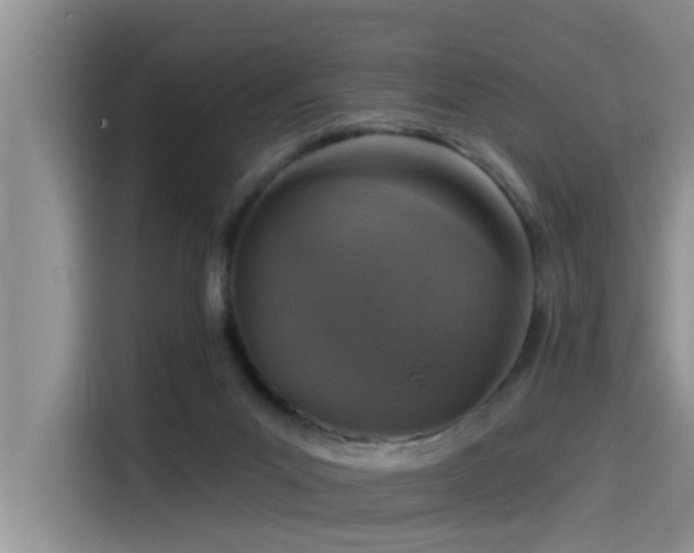 X0000115550023200911061542