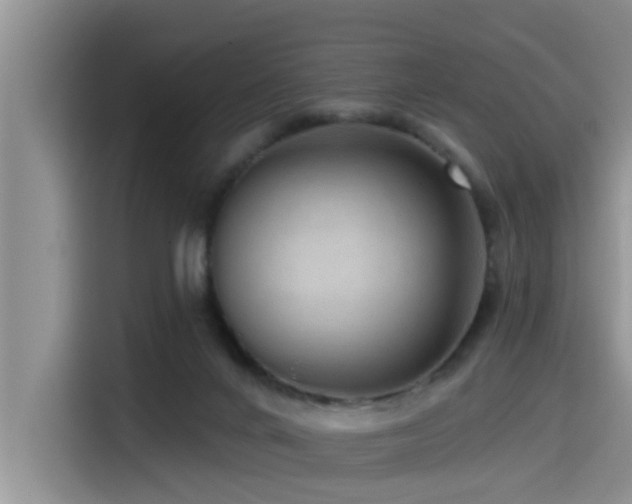 X0000115550024200911061542