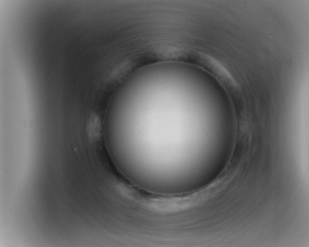 X0000115550025200911061542