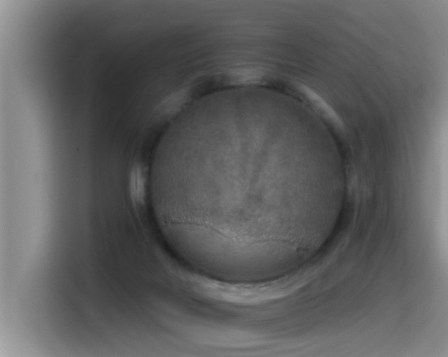 X0000115550026200911061542