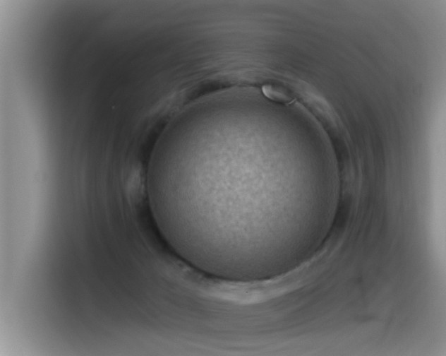 X0000115550029200911061542
