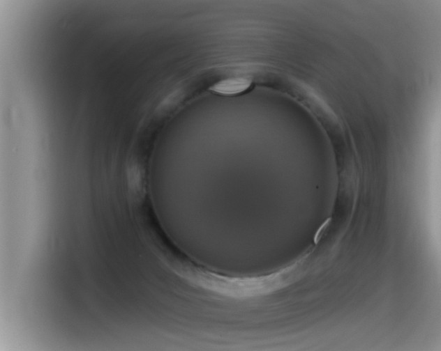 X0000115550031200911061542