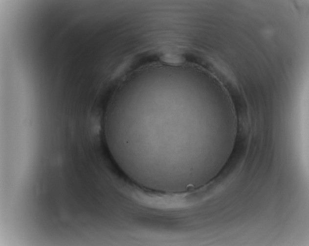 X0000115550032200911061542