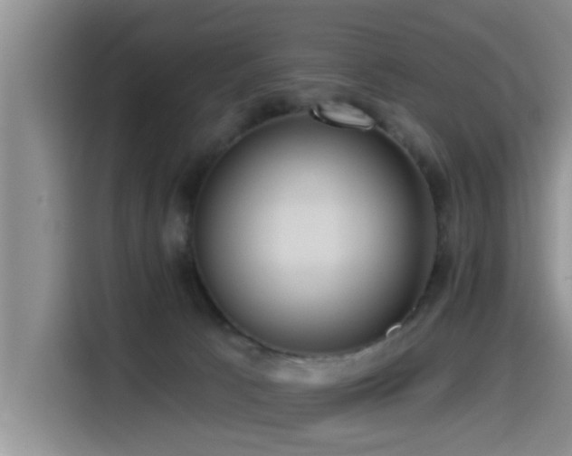 X0000115550033200911061542