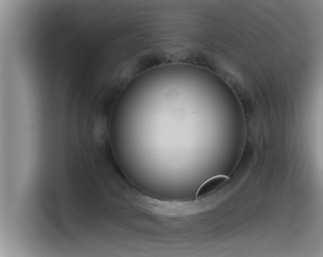 X0000115550034200911061542