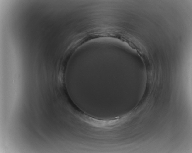 X0000115550035200911061542