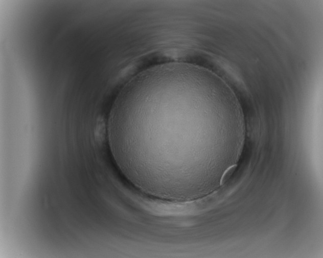 X0000115550036200911061542