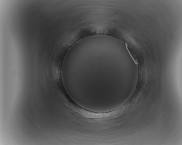 X0000115550039200911061542