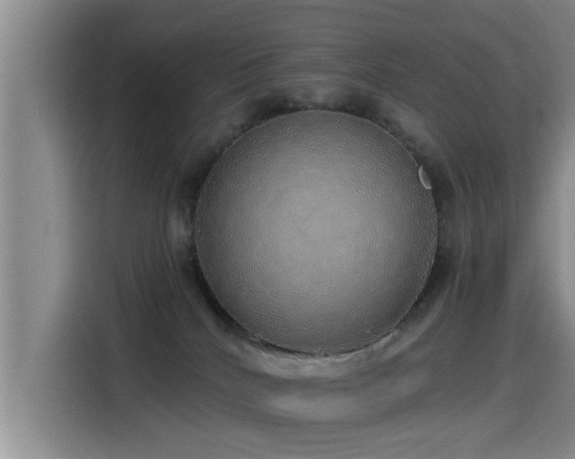 X0000115550040200911061542