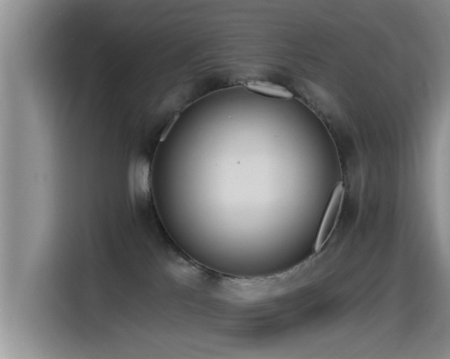 X0000115550041200911061542
