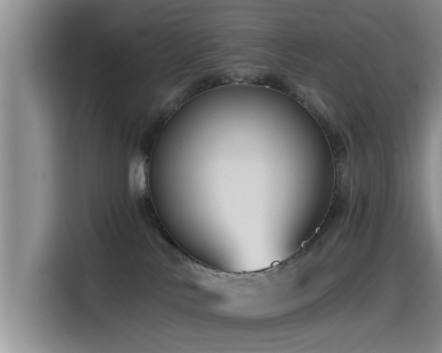 X0000115550042200911061542