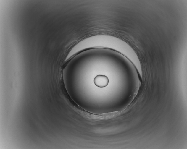 X0000115550043200911061542