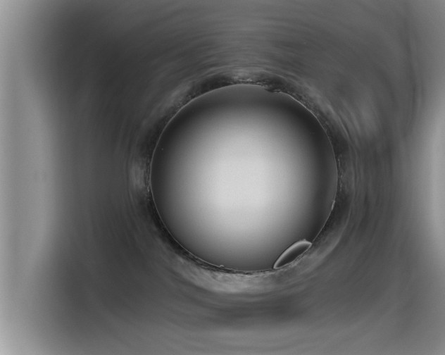 X0000115550044200911061542
