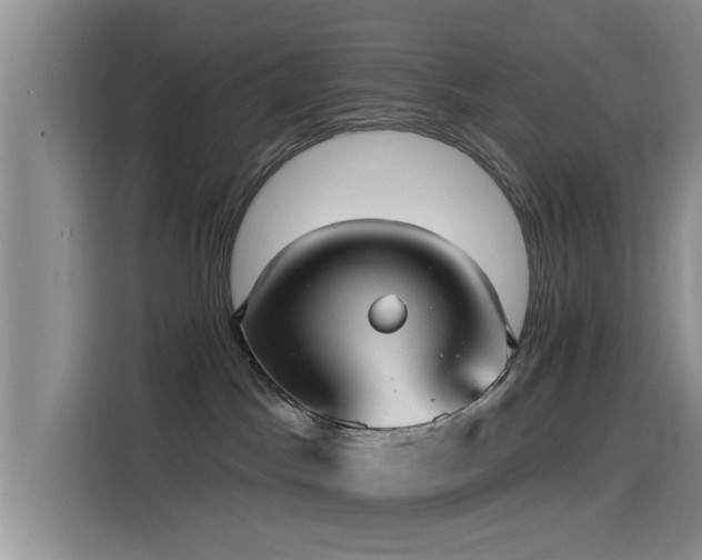 X0000115550045200911061542