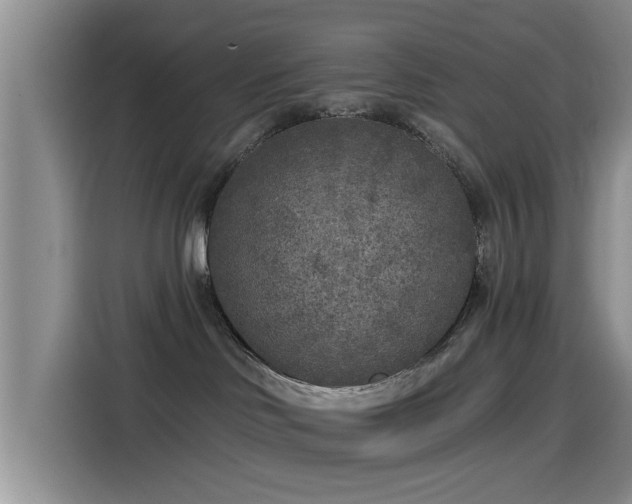 X0000115550046200911061542
