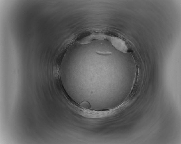 X0000115550048200911061542