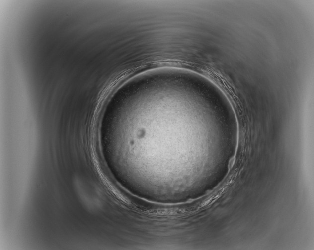 X0000115550049200911061541