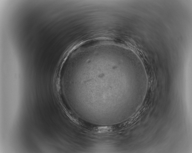 X0000115550050200911061541