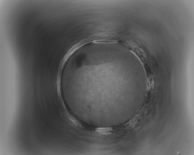 X0000115550051200911061541