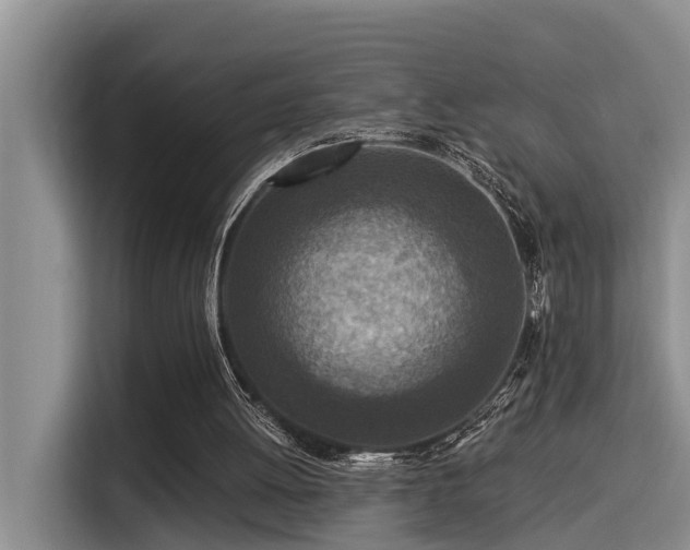 X0000115550052200911061541