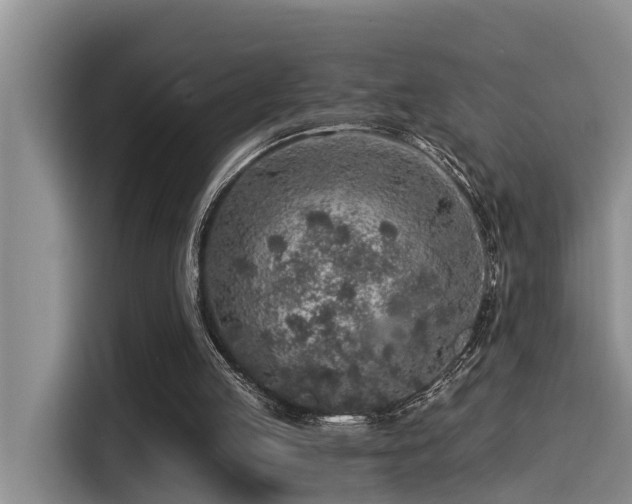 X0000115550053200911061541