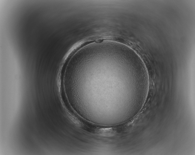 X0000115550054200911061541