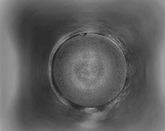 X0000115550055200911061541