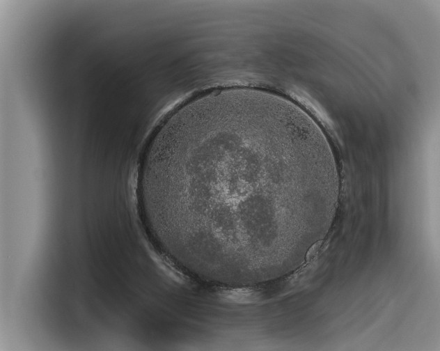 X0000115550058200911061541