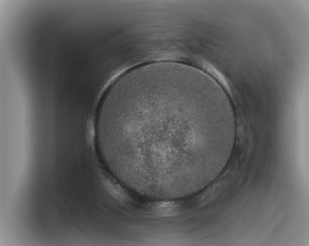 X0000115550059200911061541