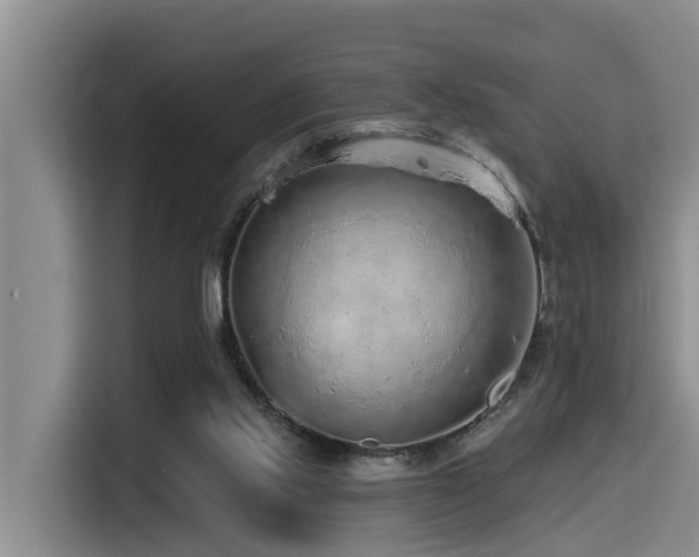 X0000115550061200911061541